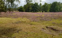 IMG-20250825-WA0023